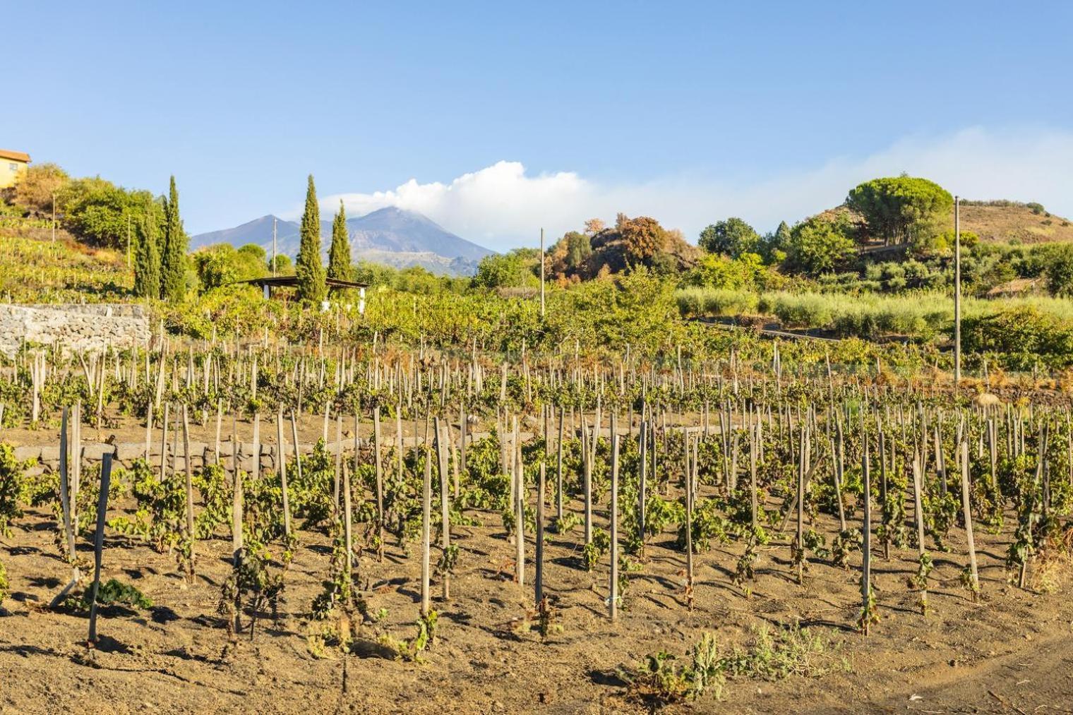 Appartamento Etna Trecastagni Exterior foto